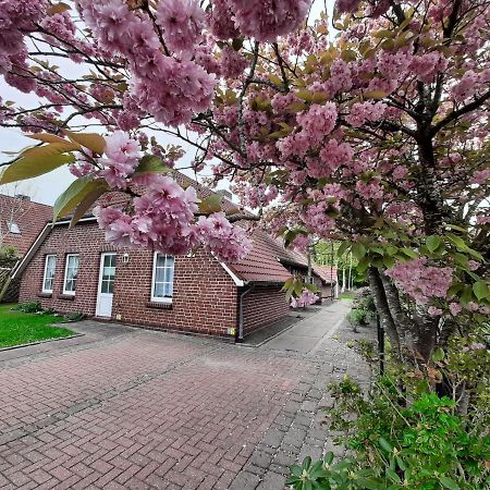 Ebbe Daire Norden Dış mekan fotoğraf